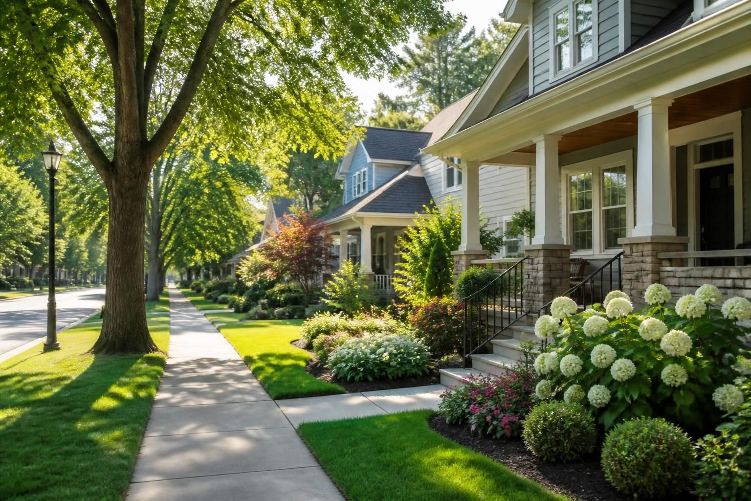 Suburban neighborhood with clean sidewalks and balanced landscaping.